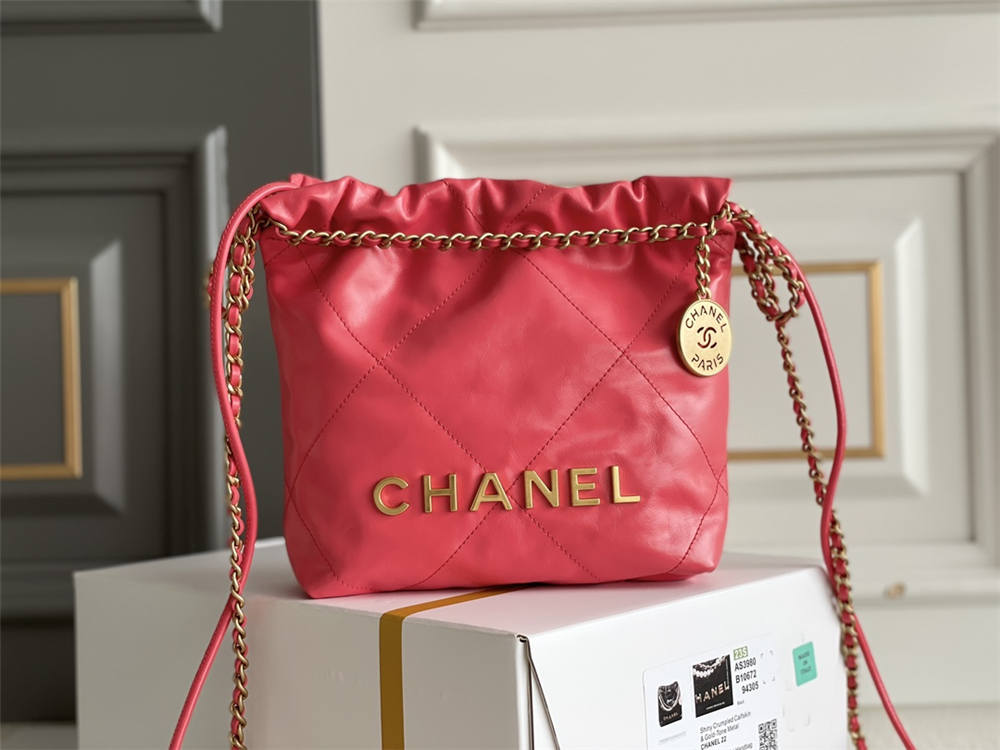 Chanel 22 min 20x19x6cm 2025 new 